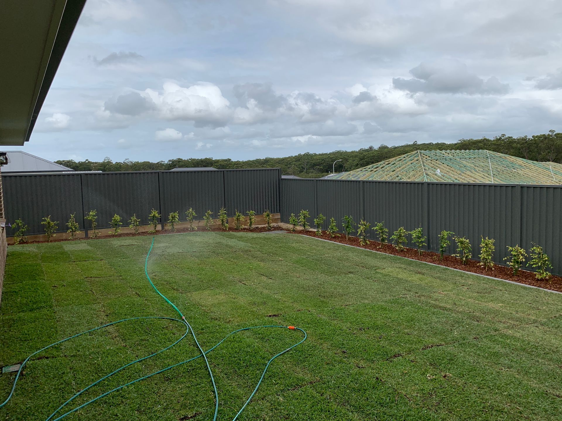 A backyard with a black fence and a green hose.