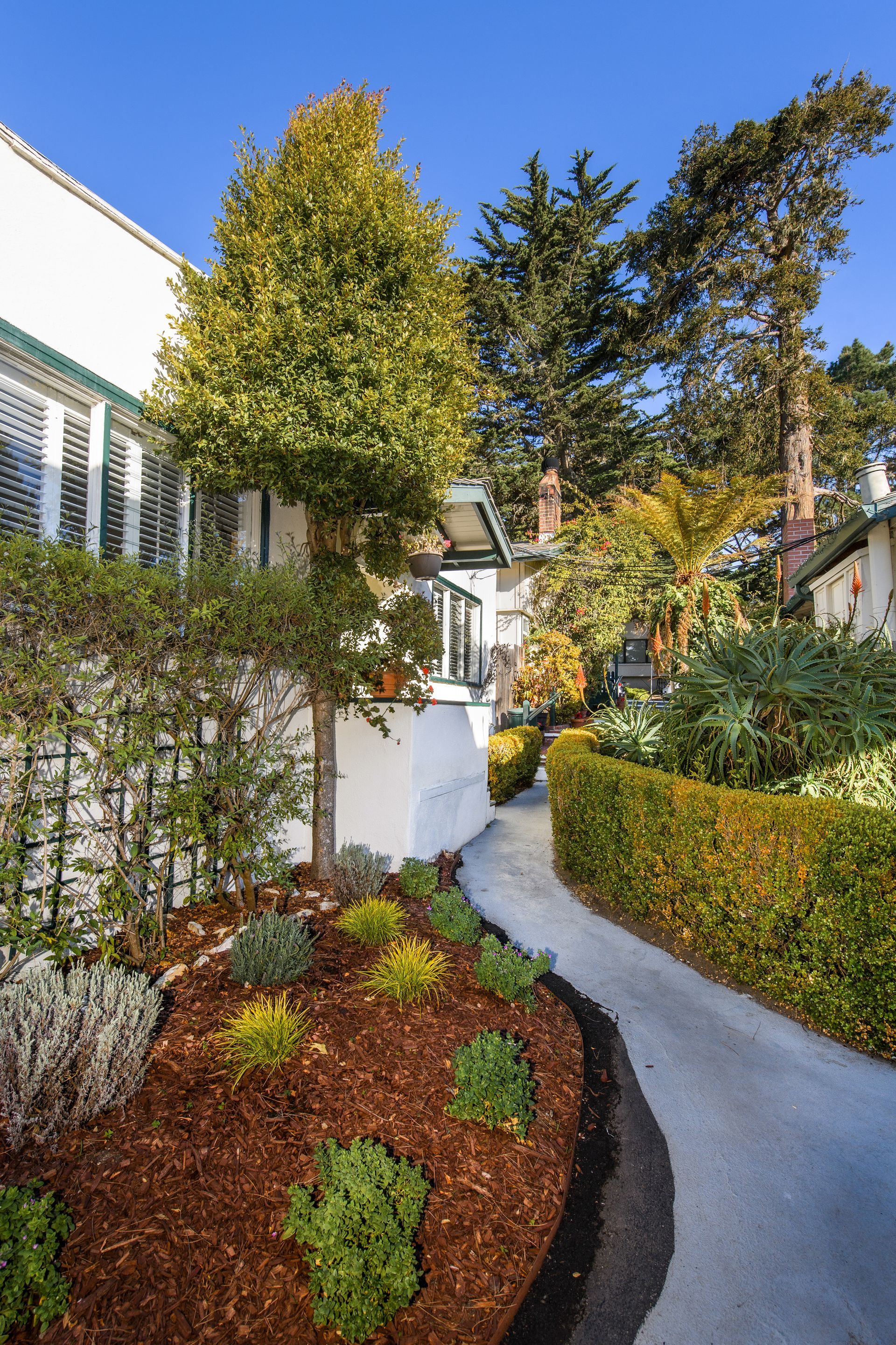 A narrow walkway leading to a house with trees and bushes on both sides.