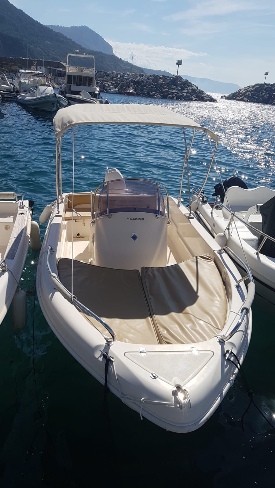 RANIERI 560 MOTORE SELVA 40/60 MOD. DORATO PARI AL NUOVO.