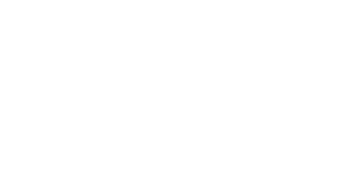 Budget Landscaping logo