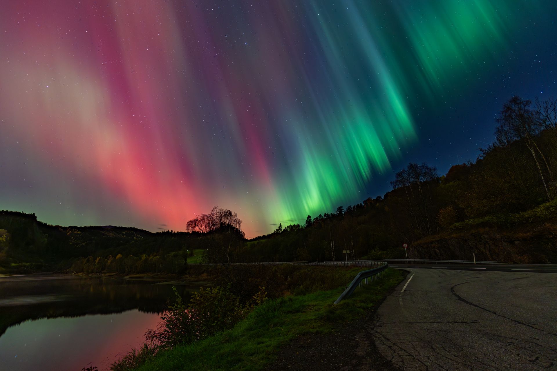 Aurora borealis in roze en groene tinten boven een weg langs een meer.