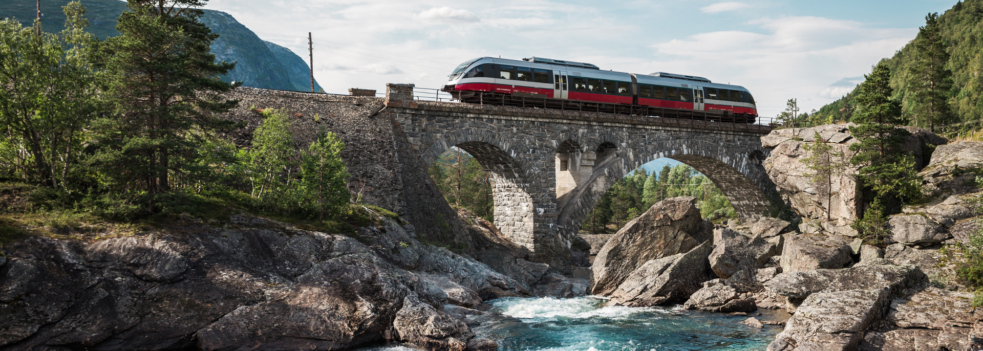 Een trein rijdt over een brug over een rivier.
