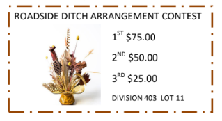 A coupon for a roadside ditch arrangement contest