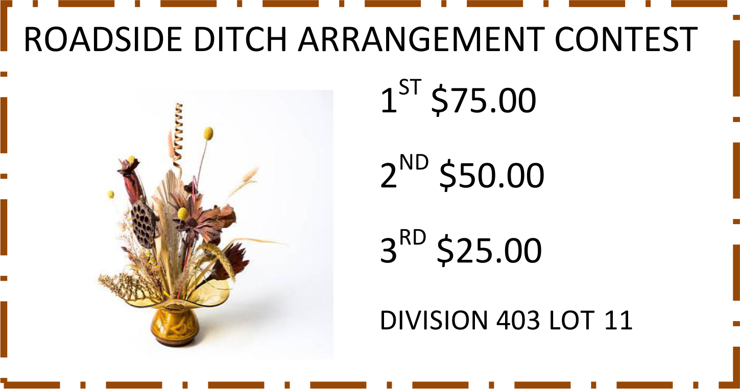 Roadside Ditch Arrangement Contest: 1st $75, 2nd $50, 3rd $25, for Division 403, Lot 11, featuring a dried floral bouquet.