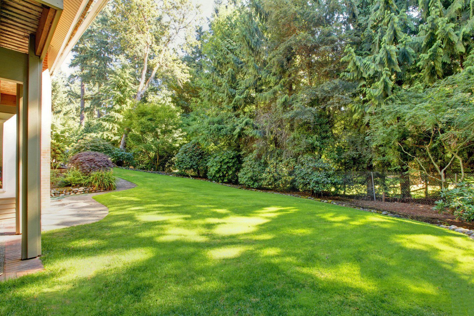 A grassy backyard lawn bordered by a tall, dense line of green trees and bushes next to a patio.