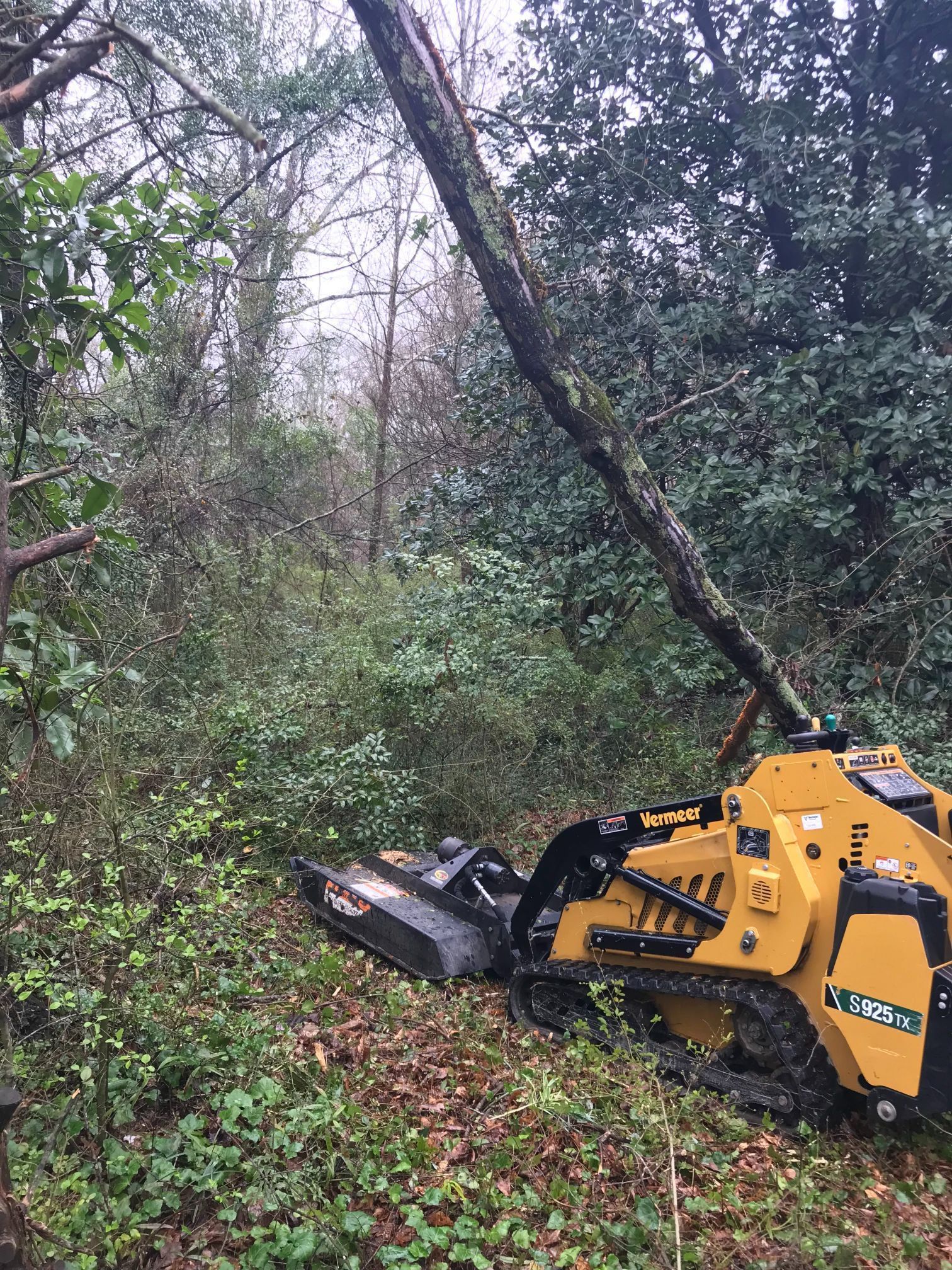 A yellow tracked mulcher clearing dense brush and trees in a wooded area.