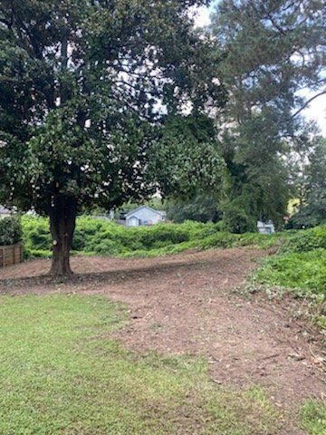 A large tree stands on the left side of a clearing with dirt ground, bordered by green bushes and trees in the background.