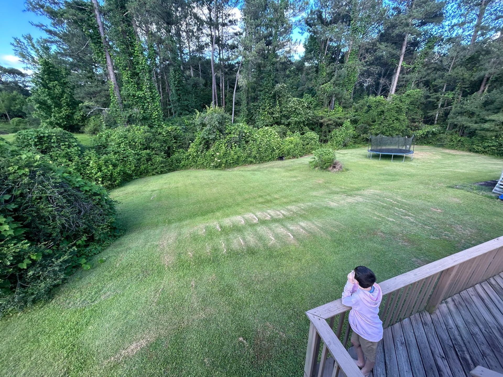 A person stands on a wooden deck looking out over a grassy backyard with trees in the background and a bench in the distance.