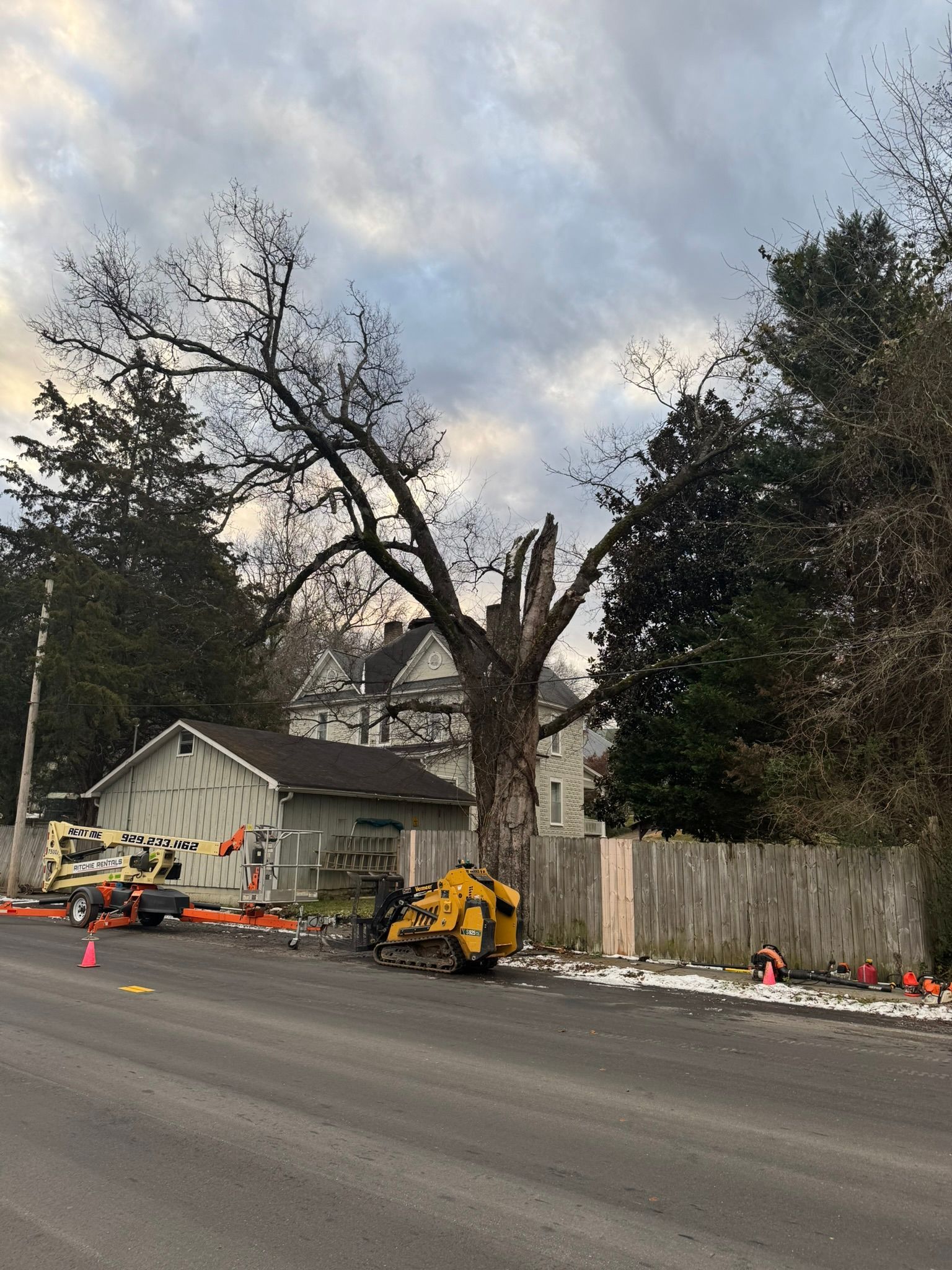 A large tree being pruned by a yellow lift and ground equipment on a street near a wooden fence and house.