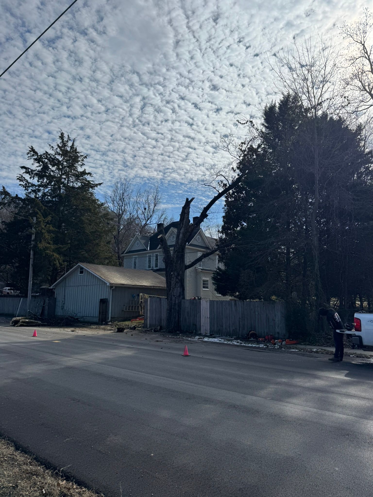A road scene featuring a bare tree, a small garage, a wooden fence, and a white vehicle on a clear, partly cloudy day.