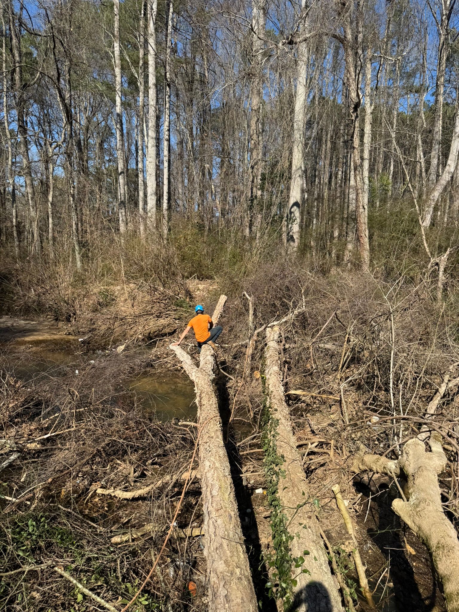 A person in an orange shirt crosses a small creek by walking on a fallen tree trunk in a wooded area.