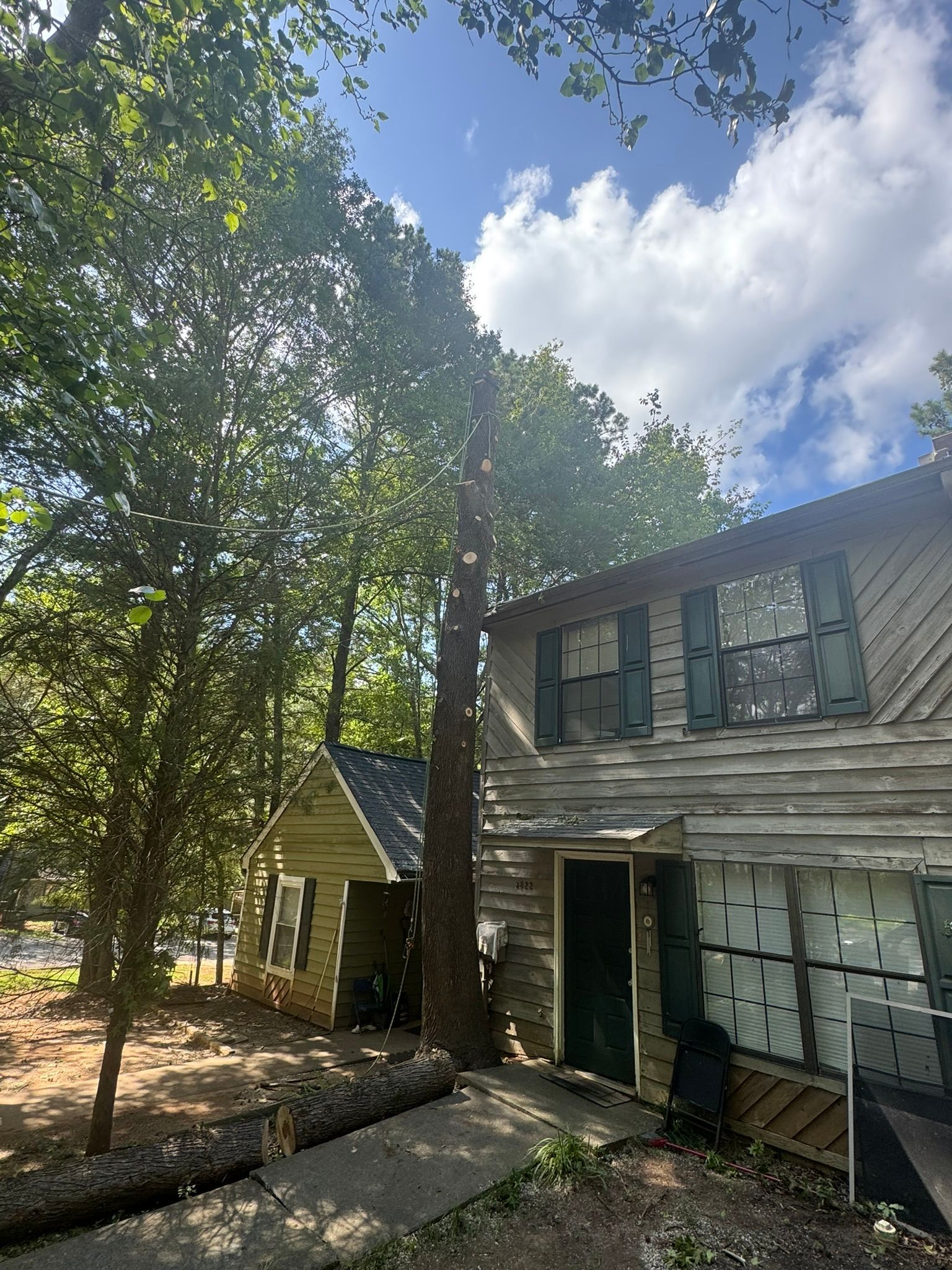 A tall, partially cut tree stands next to a weathered, two-story house with boarded windows in a wooded yard.