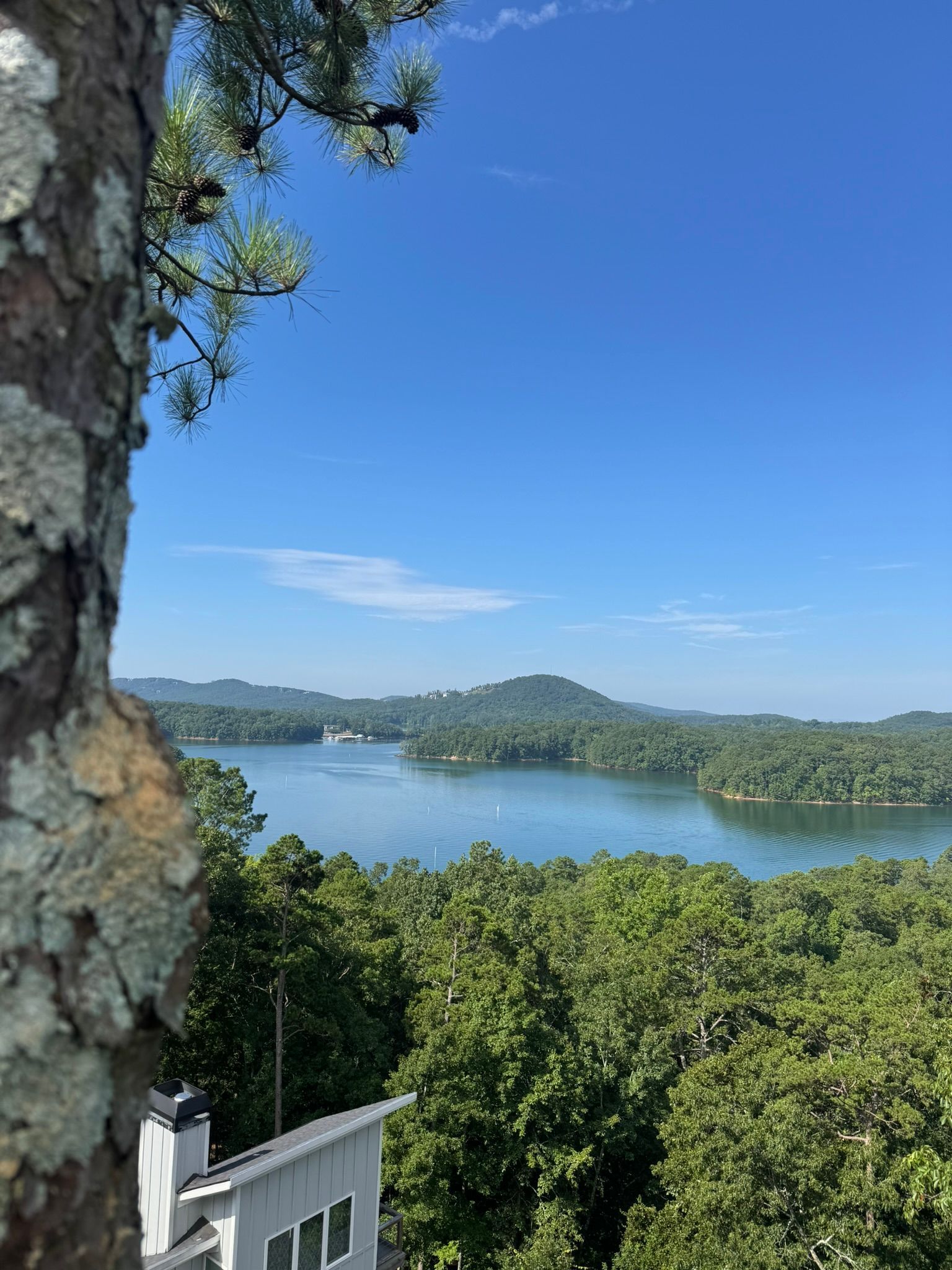 A scenic view of a calm blue lake surrounded by lush green hills, partially framed by a textured tree trunk.