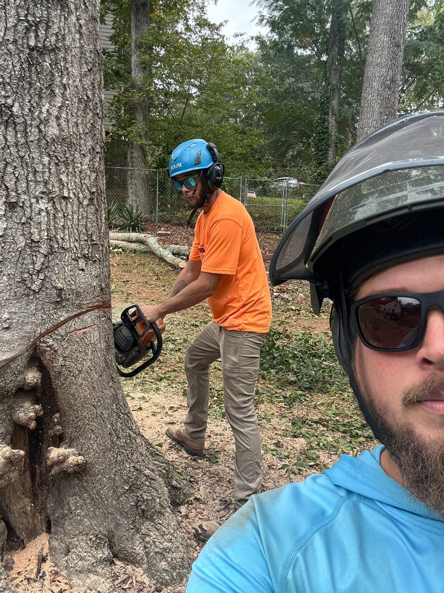 A person in a blue shirt with a safety helmet takes a selfie while another person in an orange shirt uses a chainsaw.