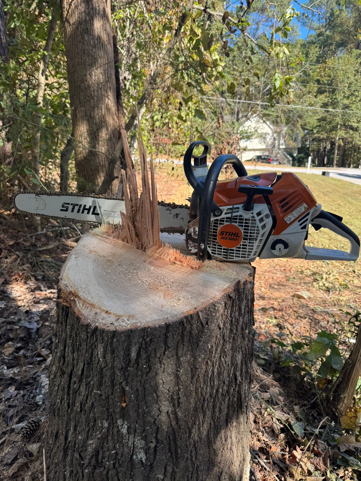 A Stihl chainsaw resting on a freshly cut tree stump in a wooded area.