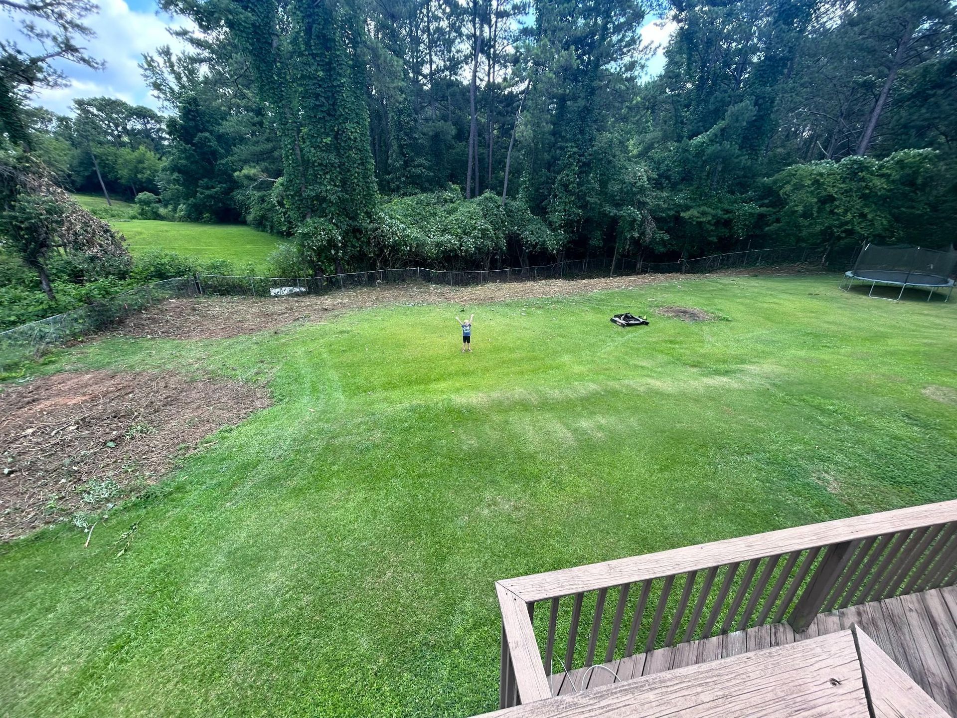 A backyard with a green lawn, a sprinkler, a small trampoline in the distance, and trees bordering the back edge.