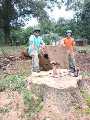 Two workers in helmets and safety gear stand behind a large tree stump with a chainsaw in a wooded area.
