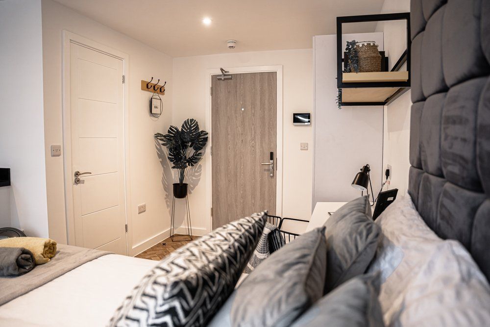 What's next for Digs Swansea? Developing our service and offerings for the future!