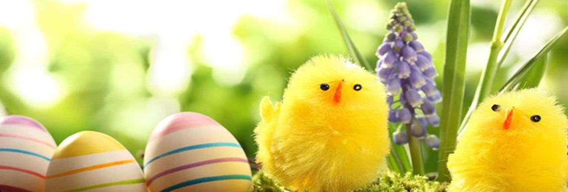 Easter scene with yellow chicks, decorated eggs, and purple flowers in a green setting.