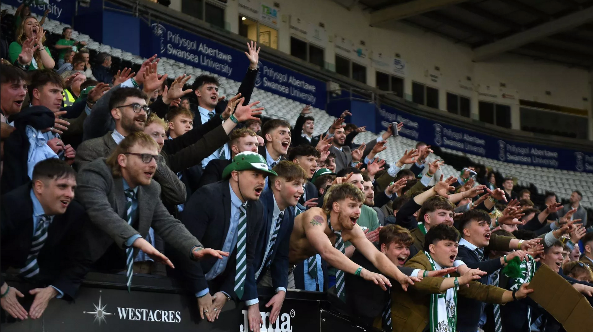 Fans in green scarves and suits cheer enthusiastically at a soccer stadium.