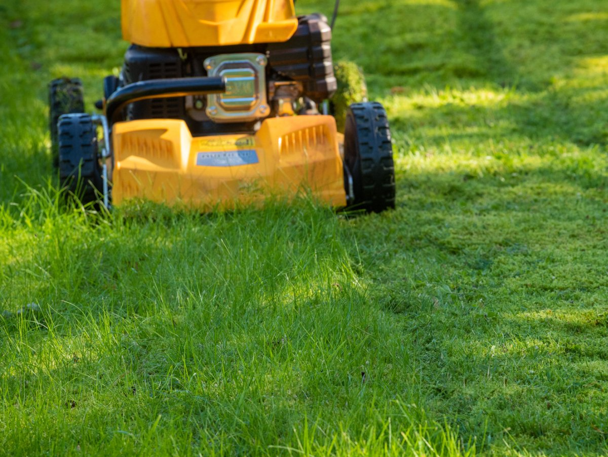 Allestimento aree verdi