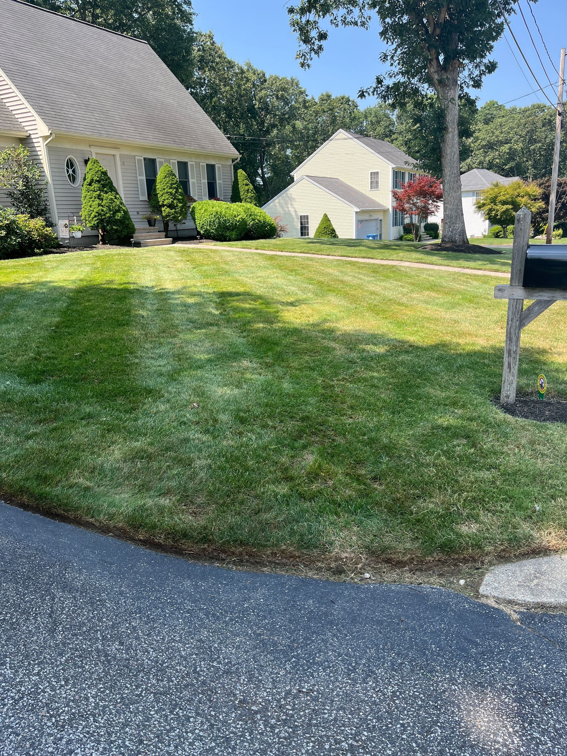 A house with a lush green lawn and a mailbox in front of it.