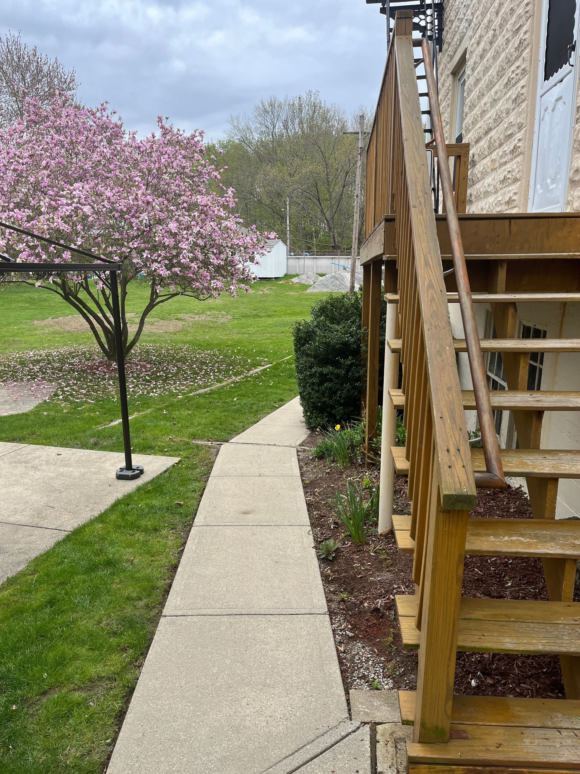 A wooden deck with stairs leading up to it and a cherry blossom tree in the background.