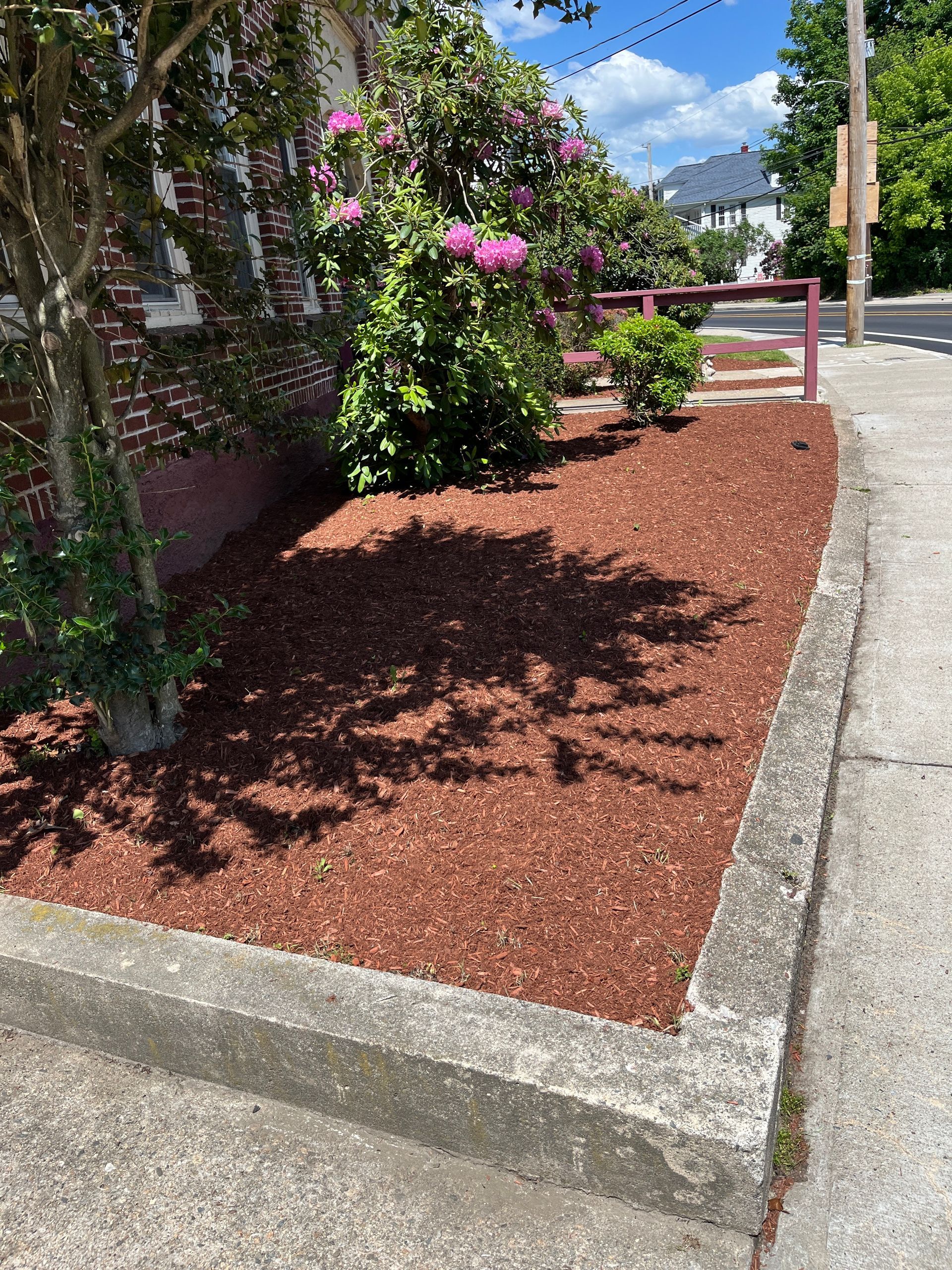 A pile of mulch is sitting on the side of the road next to a tree.