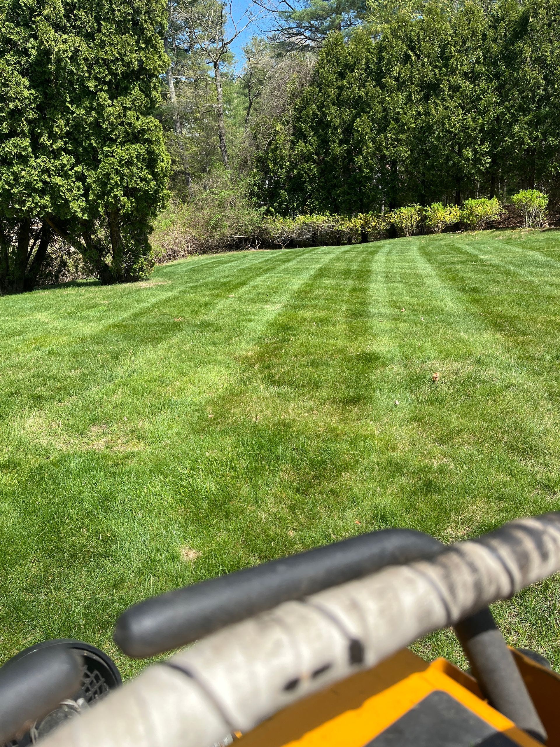 Mowed lawn with stripes, viewed from a lawnmower. Green grass, trees, and a sunny day.