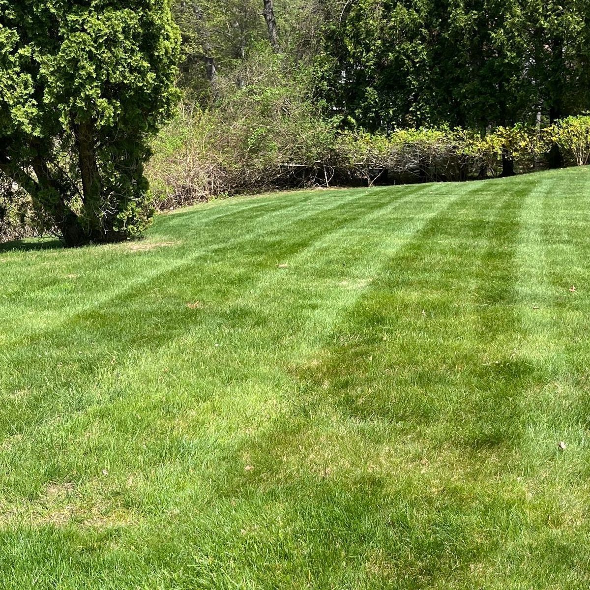 A lawn mower is cutting a lush green lawn.