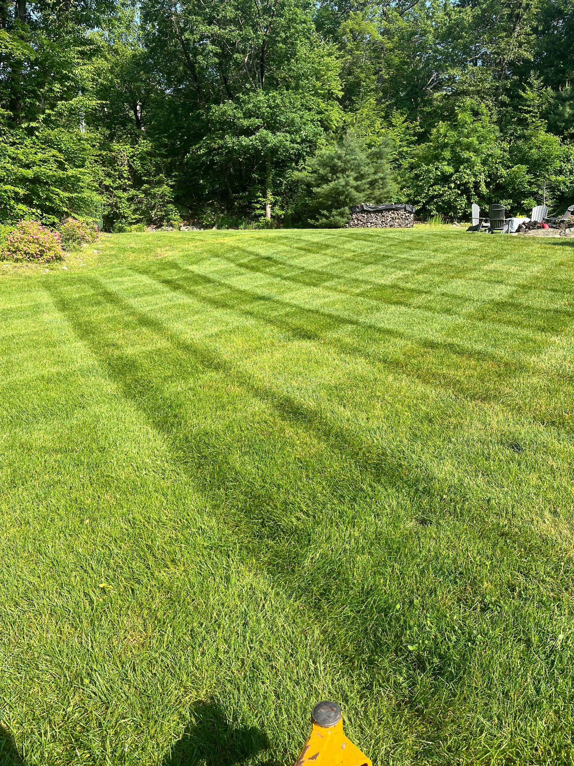 A lawn mower is cutting a lush green lawn with trees in the background.