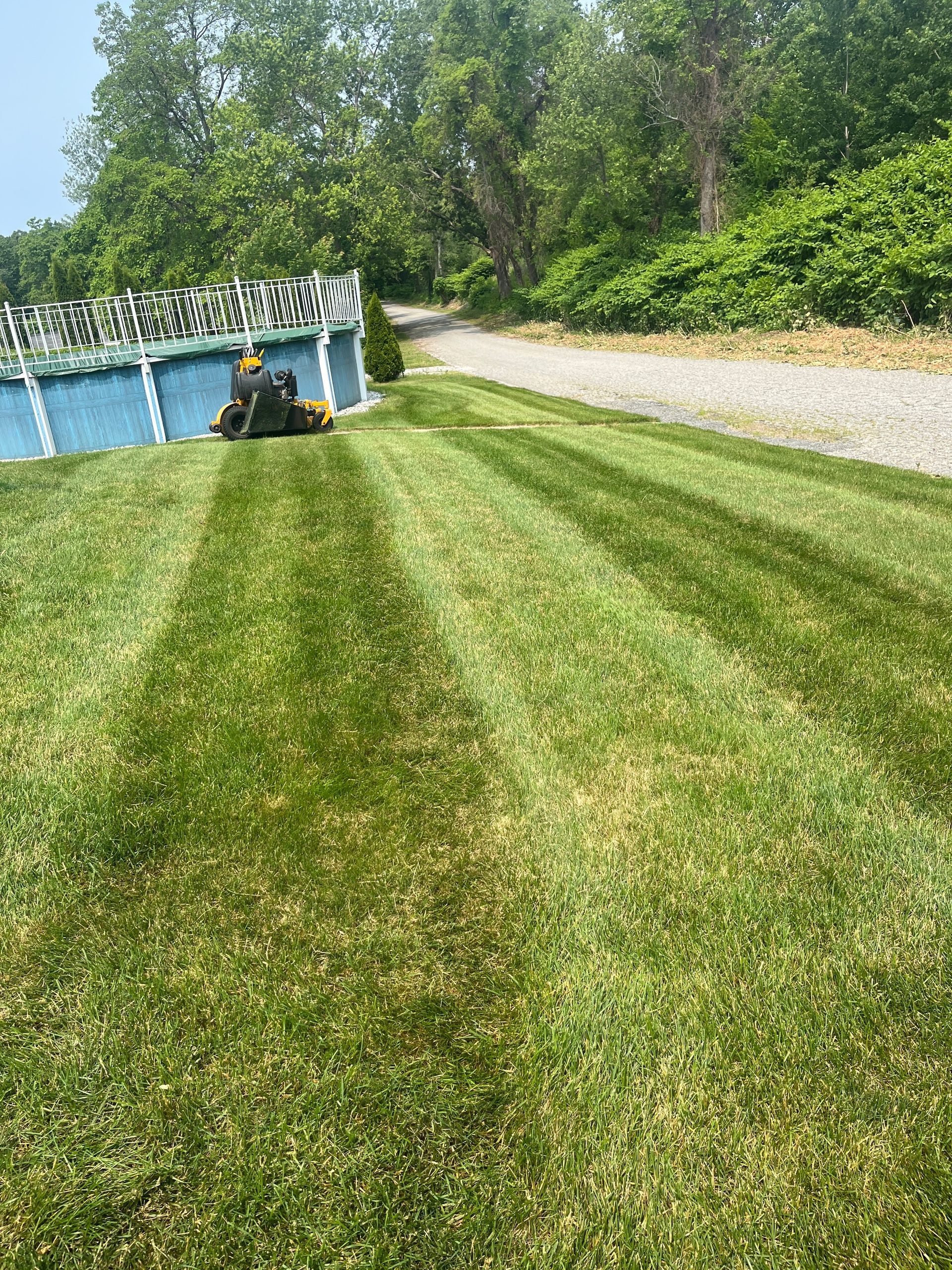 A lawn mower is cutting a lush green lawn next to a pool.