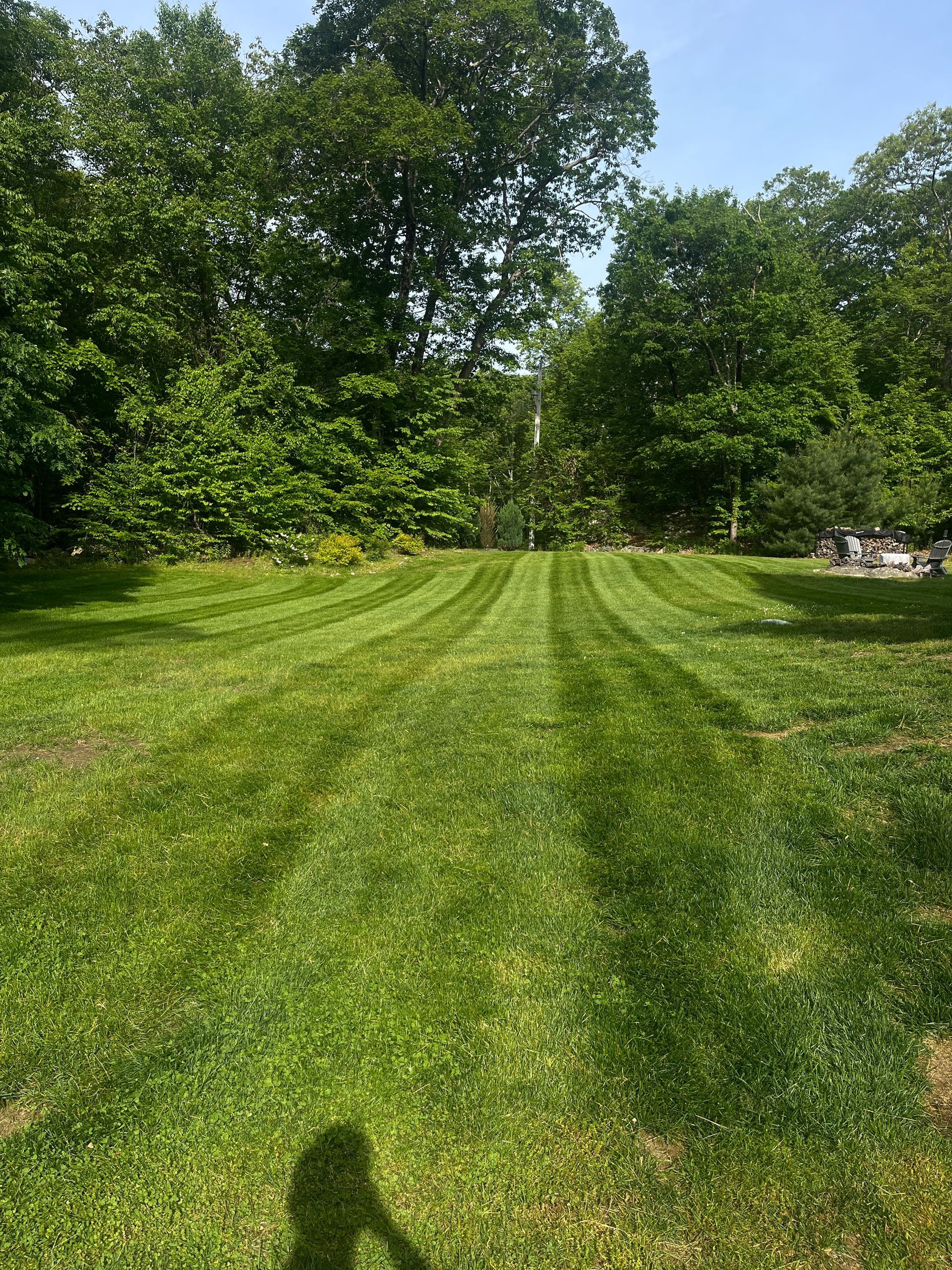 A lush green lawn with trees in the background and a shadow of a person in the grass.
