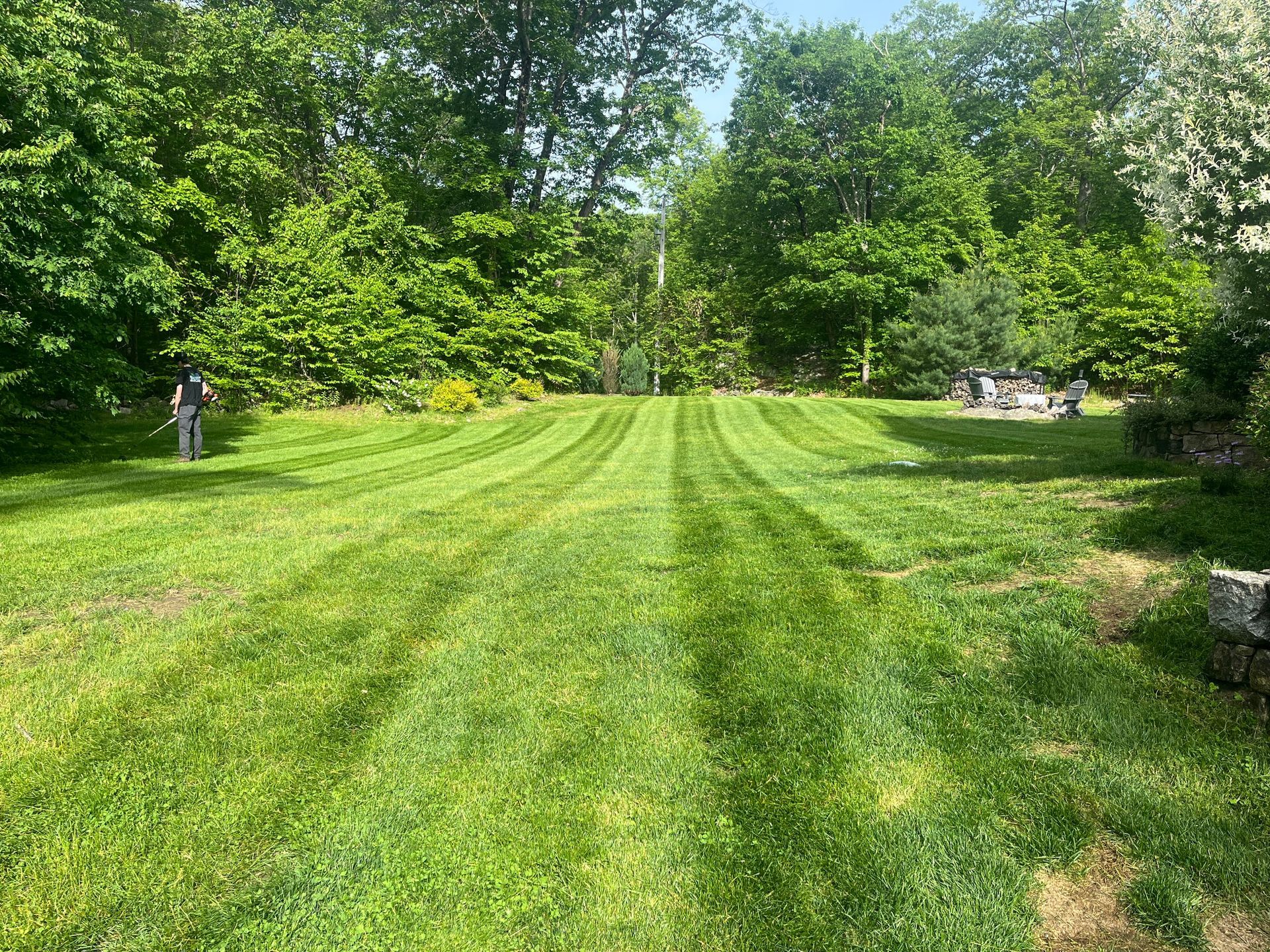 A man is mowing a lush green lawn with trees in the background.