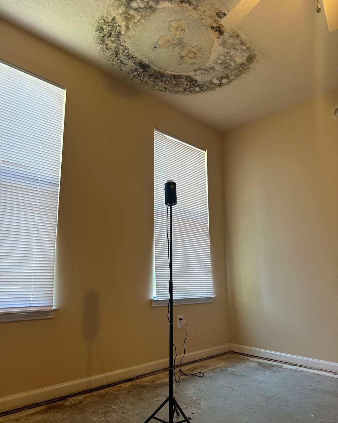 Room with water-damaged ceiling, two windows with blinds, a microphone on a stand, and tan walls.