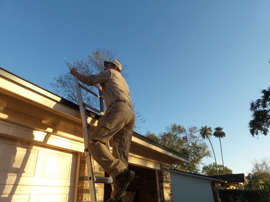 Person on a ladder, trimming branches near a garage roof under a blue sky.