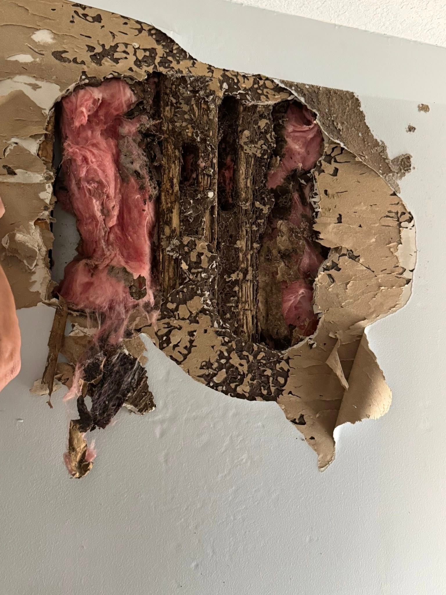 Hole in wall exposing rotted wood and insulation; brown, pink, and white materials visible.