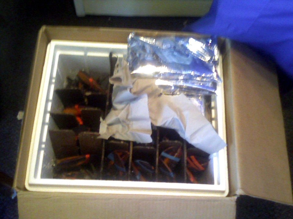St Andrews Seafoods Lobster Packed for Shipping