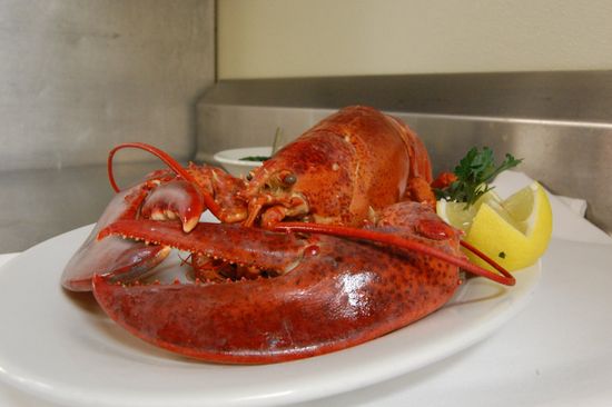St Andrews Seafoods lobster on plate