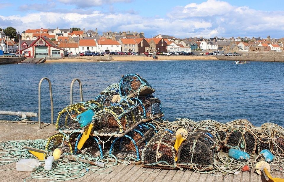 St Andrews Seafoods: Photo of traditional Lobster creels