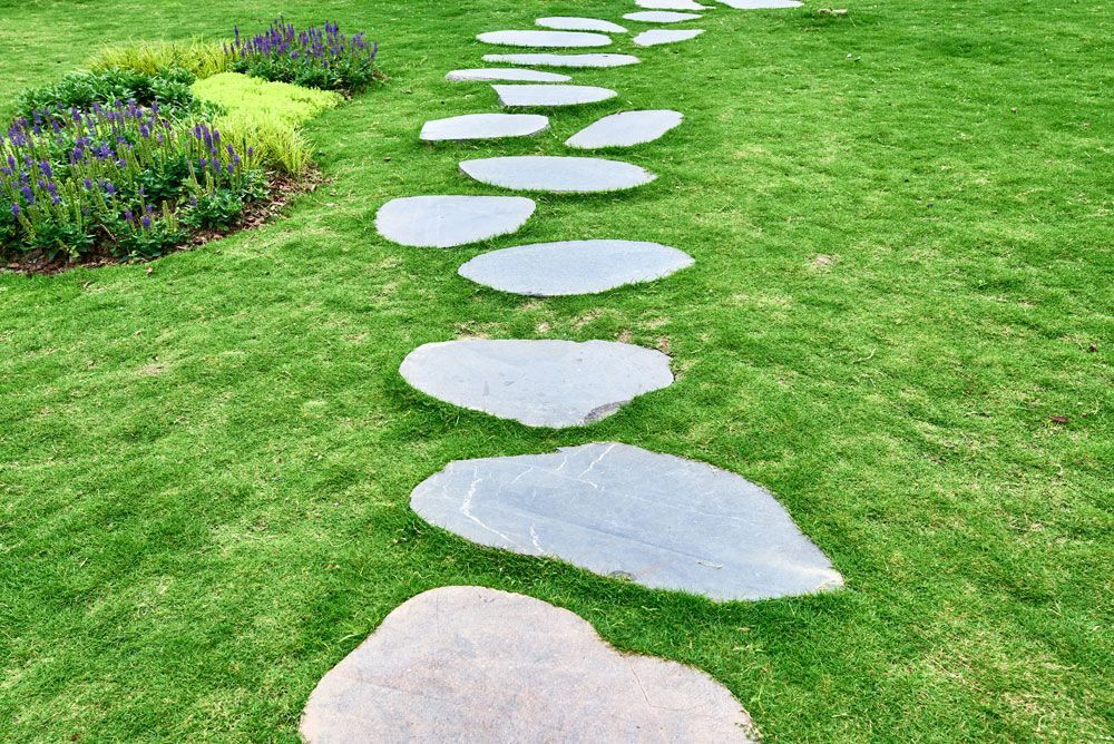 stepping stones in a lush green garden grass