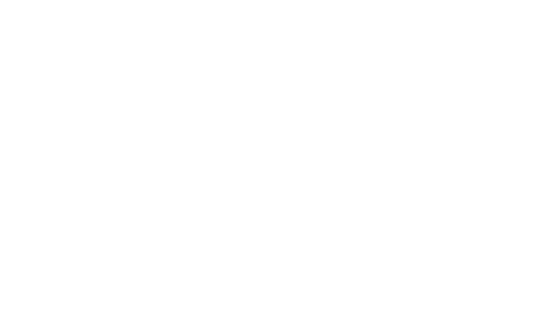 Braunvieh Association of America logo