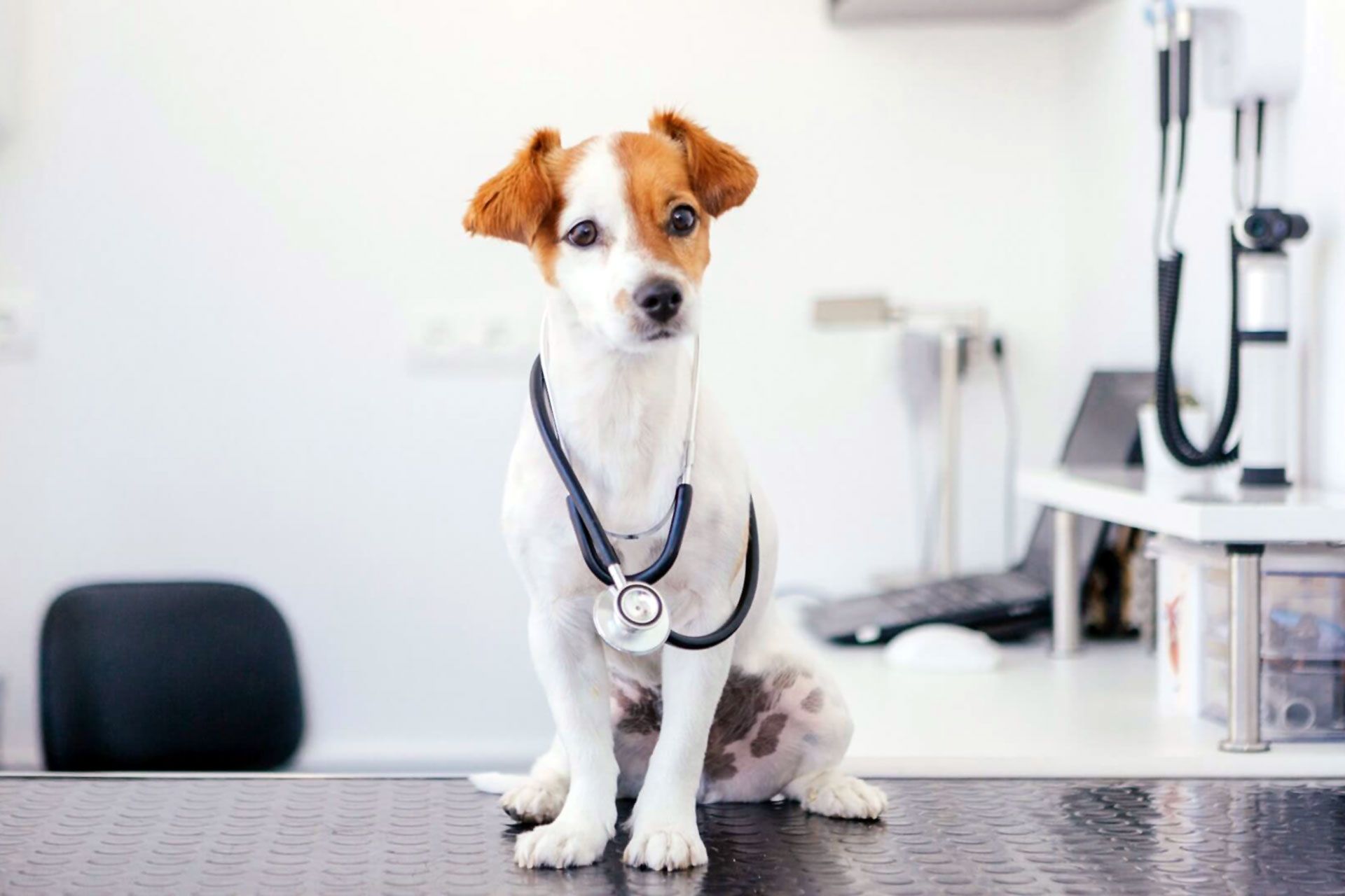 Esame delle feci con sistema AI