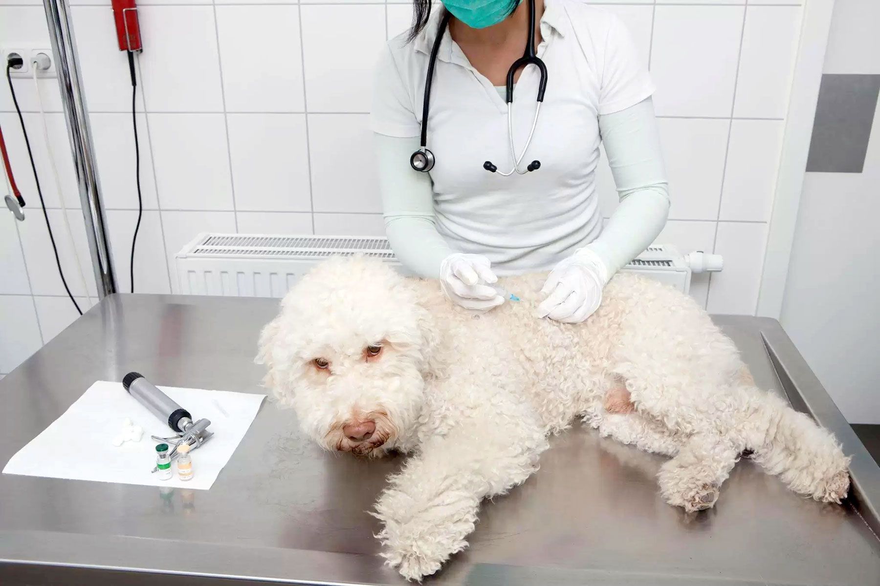 prevenzione della filaria