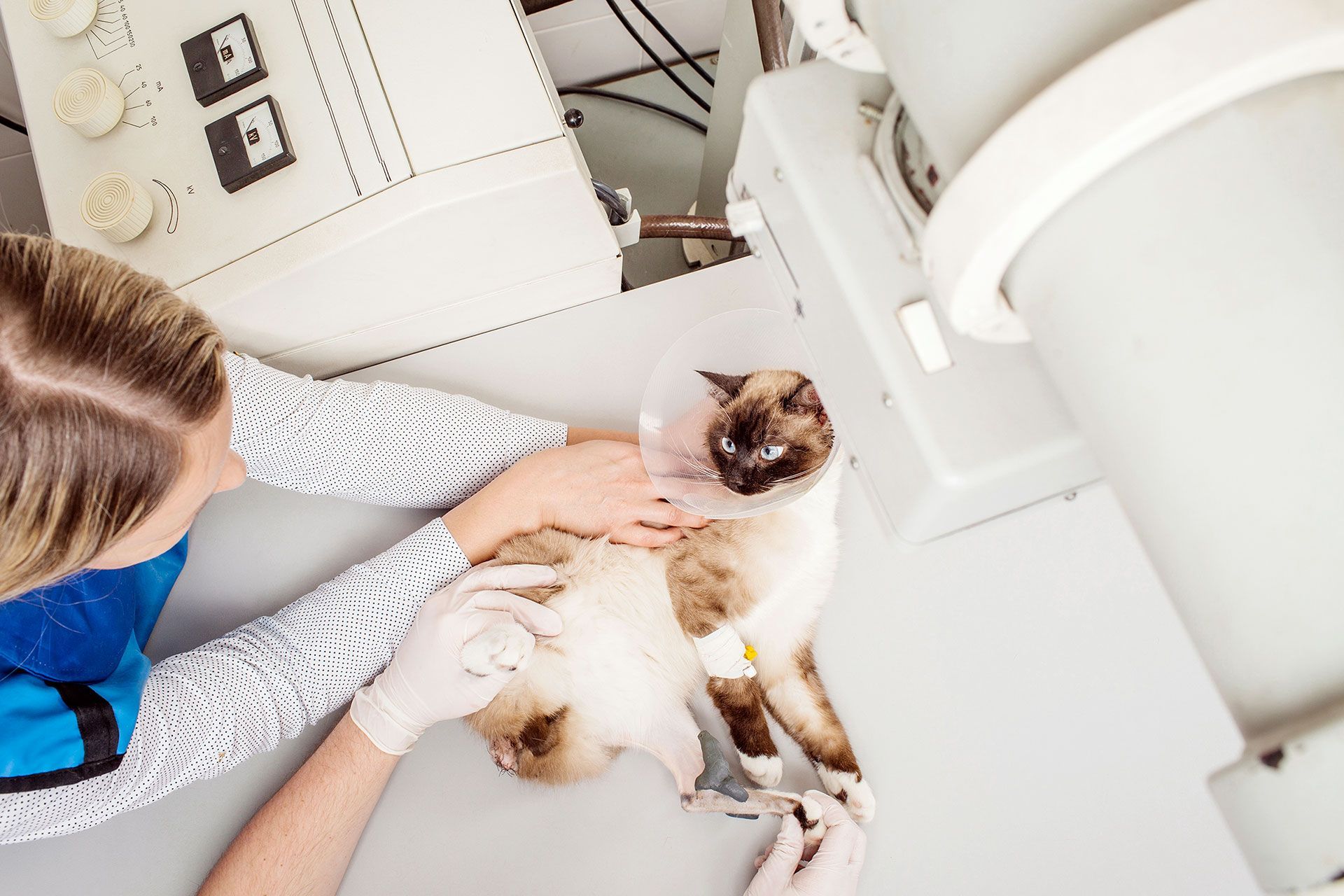 Diagnostica per immagini
