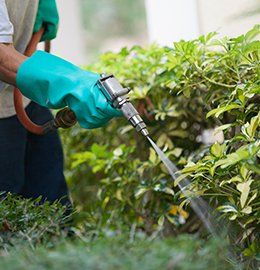 Pest Inspections — Staff Applying Pesticide in Waterford, MI