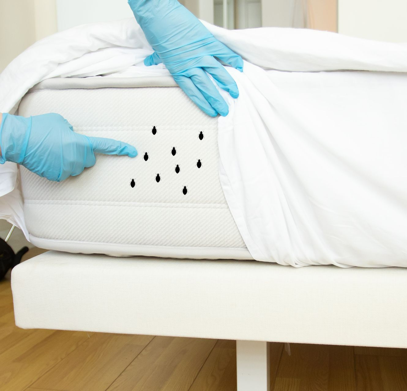 Yellow Jacket — Side View of Yellow Jacket in Waterford, MI