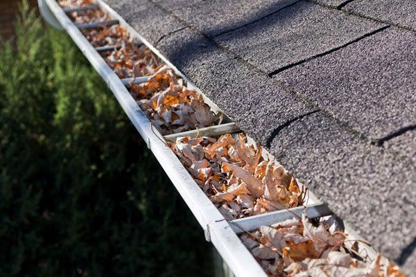 Home Maintenance — Clogged Gutters in Waterford, M