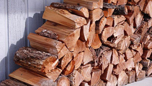 Pest Problems — Bunch Of Logs in Waterford, MI