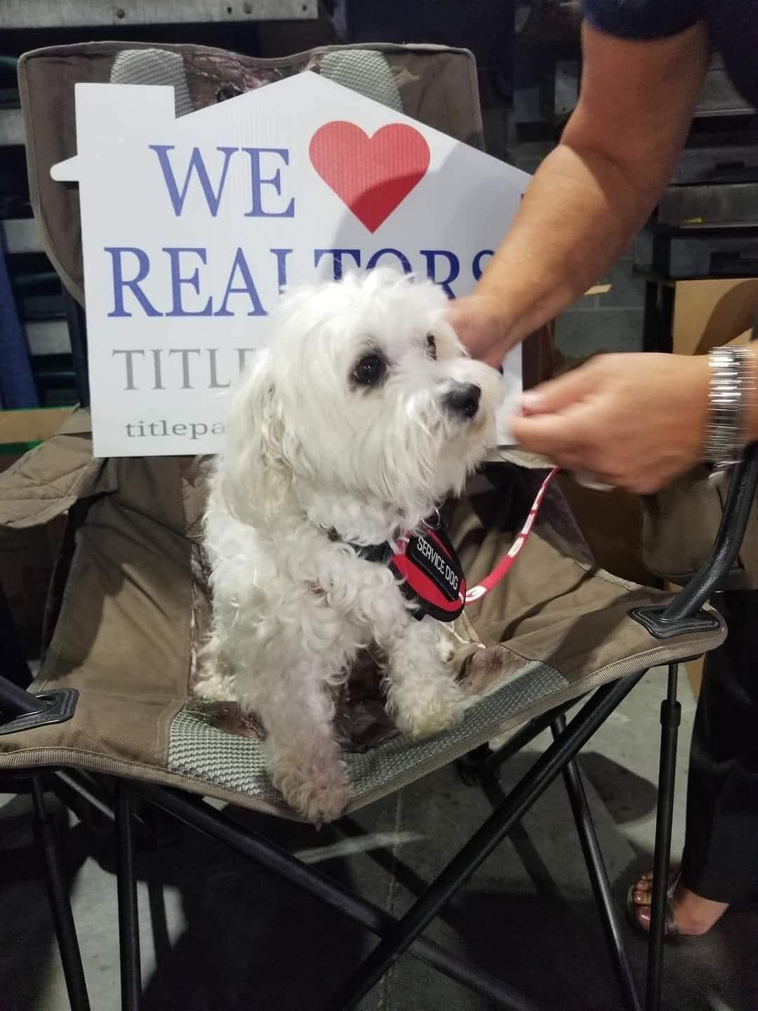 A small white dog is sitting in a chair next to a sign that says we love realtors